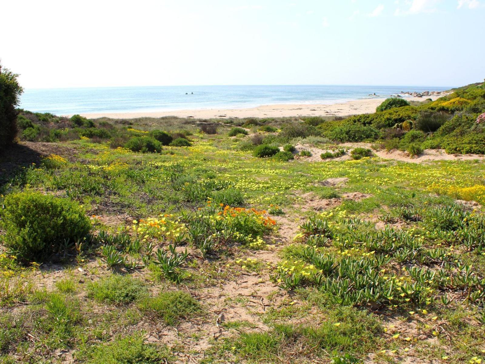 Absolute Beach Accommodation Stompneusbaai Екстериор снимка