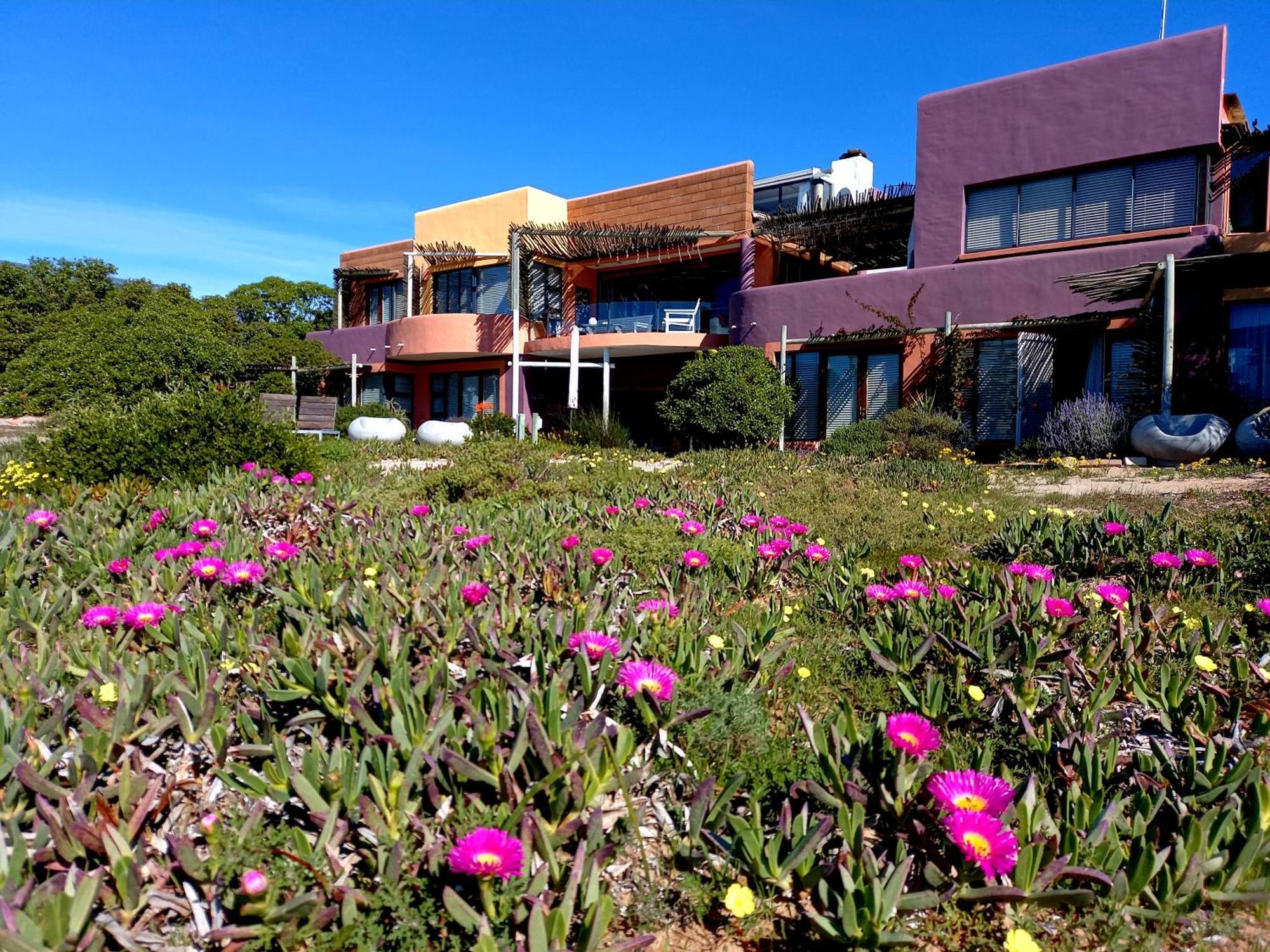 Absolute Beach Accommodation Stompneusbaai Екстериор снимка